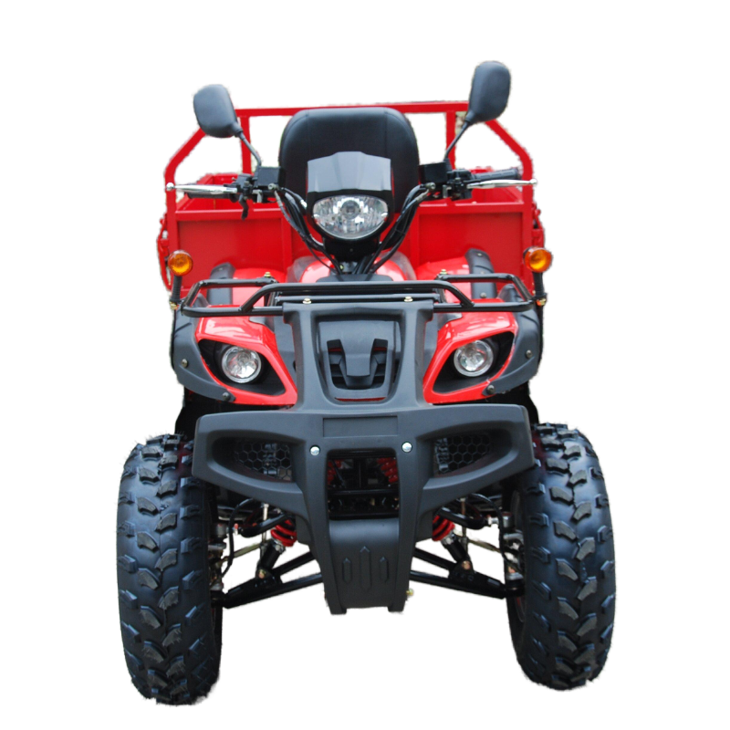 Hot sale Farm ATV 200CC 4 wheeler ATV multipurpose ATV with high quality